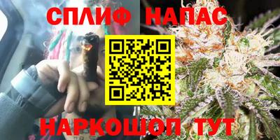 сатива Кумертау