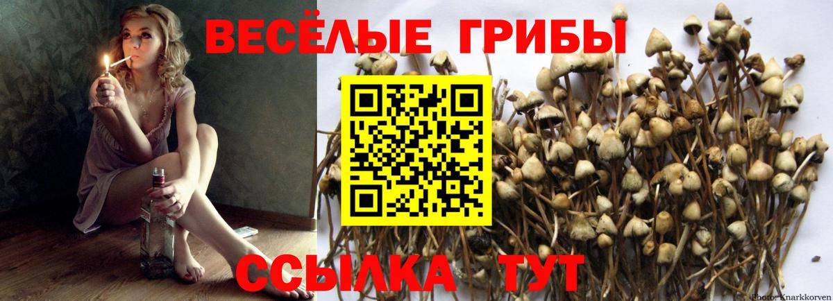 Галлюциногенные грибы мицелий Заволжье
